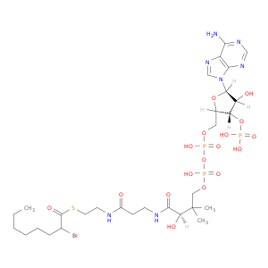 Coenzyme A,S-(2-bromooctanoate) (9CI)