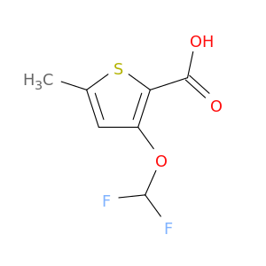 3-(difluoromethoxy)-5-methylthiophene-2-carboxylic acid