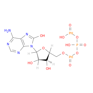 8-Hydroxy-ATP