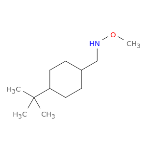[(4-tert-butylcyclohexyl)methyl](methoxy)amine