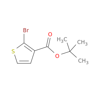 tert-Butyl 2-bromothiophene-3-carboxylate