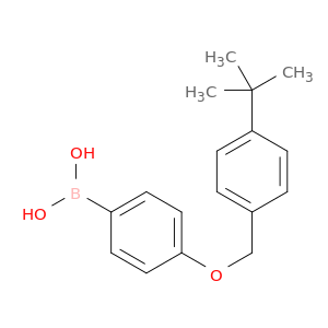 4-(4-叔丁基苯甲氧基)苯基硼酸