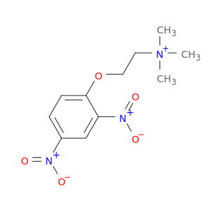Ethanaminium, 2-(2,4-dinitrophenoxy)-N,N,N-trimethyl-