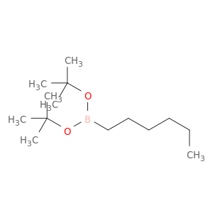 Boronic acid, hexyl-, bis(1,1-dimethylethyl) ester