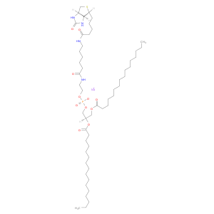 1,2-二棕榈酰基-sn-甘油-3-磷酸乙醇胺-N-(帽生物素)(钠盐)