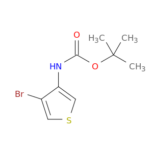 (4-溴噻吩-3-基)氨基甲酸叔丁酯