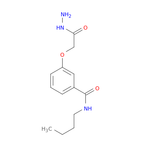 N-Butyl-3-[(hydrazinecarbonyl)methoxy]benzamide