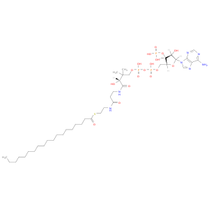 Coenzyme A,S-nonadecanoate