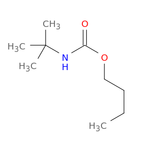 Butyl-N-tert-butyl carbamate