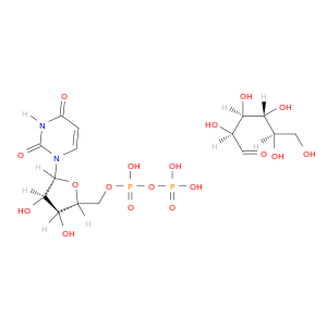 UDP-D-MANNOSE