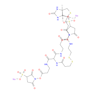 6-[2-生物素基酰胺基乙基]-二硫基丙酰胺基]-4,8-二氮杂-5,7-二氧代十一烷酸 二-N-磺基琥珀酰亚胺基酯二钠盐