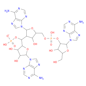 [2-(6-aminopurin-9-yl)-5-[[[2-(6-aminopurin-9-yl)-4-hydroxy-5-(hydroxymethyl)tetrahydrofuran-3-yl]oxy-hydroxy-phosphoryl]oxymethyl]-4-hydroxy-tetrahydrofuran-3-yl][5-(6-aminopurin-9-yl)-3,4-dihydroxy-tetrahydrofuran-2-yl]methyl hydrogen phosphate