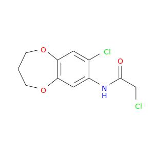 2-氯-N-(8-氯-3,4-二氢-2H-1,5-苯并二氧Xepin-7-Y1)乙酰胺