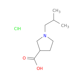 1-(2-methylpropyl)pyrrolidine-3-carboxylic acid hydrochloride