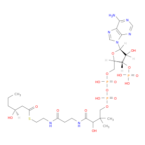 S-[2-[3-[[4-[[[(2R,3S,4R,5R)-5-(6-AMINOPURIN-9-YL)-4-HYDROXY-3-PHOSPHONOOXYOXOLAN-2-YL]METHOXY-HYDROXYPHOSPHORYL]OXY-HYDROXYPHOSPHORYL]OXY-2-HYDROXY-3,3-DIMETHYLBUTANOYL]AMINO]PROPANOYLAMINO]ETHYL] (3S)-3-HYDROXYHEXANETHIOATE