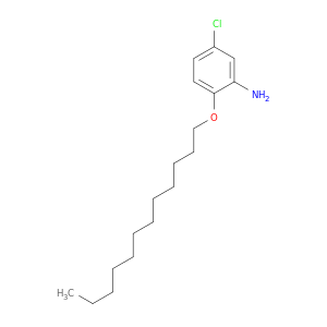 5-CHLORO-2-DODECYLOXY ANILINE
