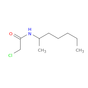 2-chloro-N-(heptan-2-yl)acetamide
