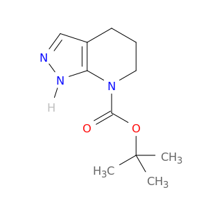 5,6-二氢-1H-吡唑并[3,4-b]吡啶-7(4H)-甲酸叔丁酯