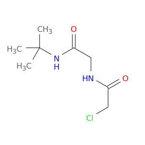 N-tert-Butyl-2-(2-chloroacetamido)acetamide