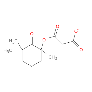 Propanedioic acid, mono(1,3,3-trimethyl-2-oxocyclohexyl) ester