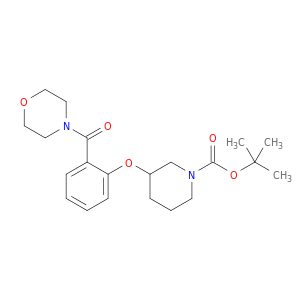 3-[2-(4-吗啉基羰基)苯氧基]-1-哌啶甲酸叔丁酯