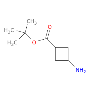 3-氨基环丁酸叔丁酯