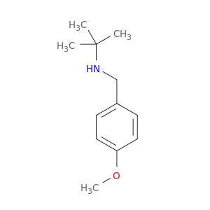 N-(1,1-二甲基乙基)-4-甲氧基苯甲胺