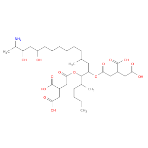 伏马菌素B2