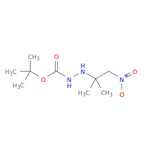 肼羧酸,2-(1,1-二甲基-2-硝基乙基)-,1,1-二甲基乙酯