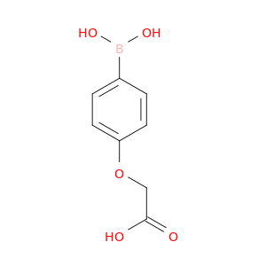 2-(4-硼酸基苯氧基)乙酸