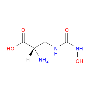 3-[(hydroxycarbamoyl)amino]-l-alanine