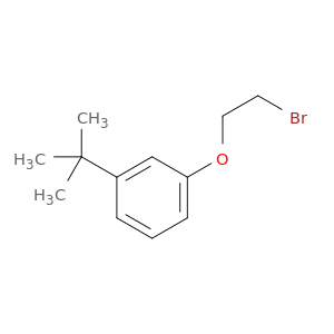 1-(2-Bromoethoxy)-3-tert-butylbenzene