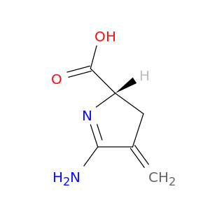 2H-Pyrrole-2-carboxylicacid, 5-amino-3,4-dihydro-4-methylene-, (2S)-