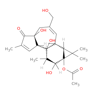 Phorbol 12-Monoacetate