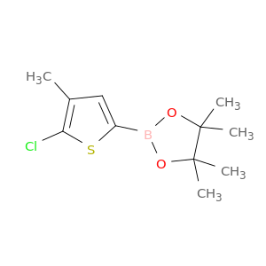 5-氯-4-甲基噻吩-2-硼酸频那醇酯