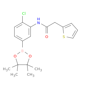 4-氯-3-(噻吩-2-基乙酰氨基)苯硼酸频那醇酯
