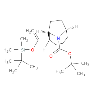 9-Azabicyclo[4.2.1]nonane-9-carboxylicacid, 2-[1-[[(1,1-dimethylethyl)dimethylsilyl]oxy]ethenyl]-, 1,1-dimethylethylester, (1R,2S,6R)-rel-