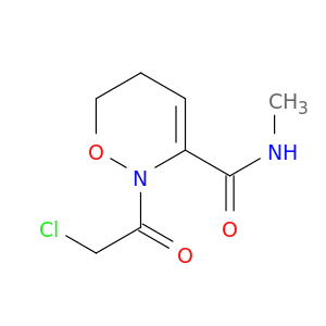 2-(CHLOROACETYL)-5,6-DIHYDRO-N-METHYL-2H-1,2-OXAZINE-3-CARBOXAMIDE