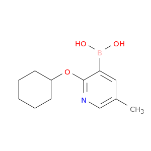 2-Cyclohexyloxy-5-methylpyridine-3-boronic acid