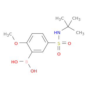 5-(叔丁基氨基磺酰基)-2-甲氧基苯硼酸