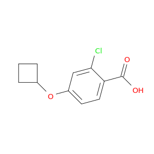 2-chloro-4-cyclobutoxybenzoic acid