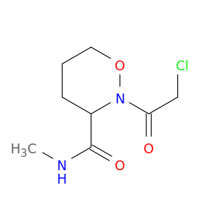 2-(CHLOROACETYL)TETRAHYDRO-N-METHYL-2H-1,2-OXAZINE-3-CARBOXAMIDE