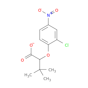 tert-butyl(2-chloro-4-nitrophenoxy)acetate