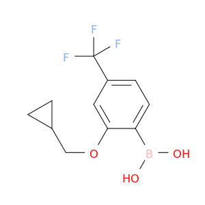 2-(Cyclopropylmethoxy)-4-trifluoromethylphenylboronic acid