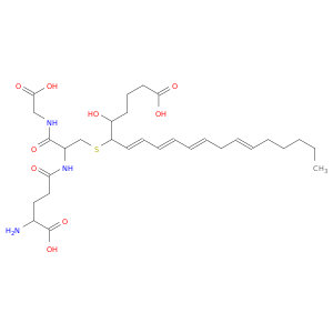 14,15-Leukotriene C4