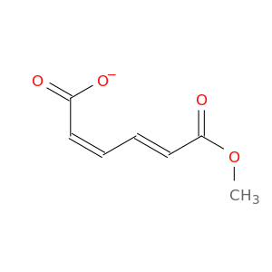 2,4-Hexadienedioic acid, monomethyl ester, (E,Z)-