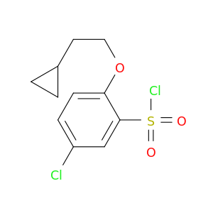 5-氯-2-(2-环丙基乙氧基)苯-1-磺酰氯