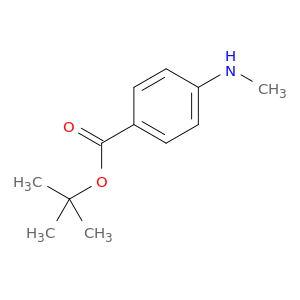 Benzoic acid, 4-(methylamino)-, 1,1-dimethylethyl ester