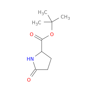 5-氧代吡咯烷-2-羧酸叔丁酯