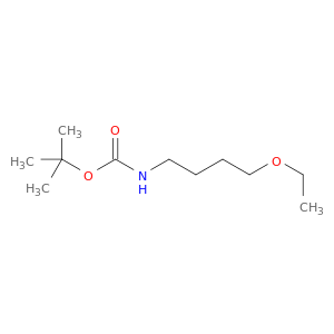 tert-Butyl N-(4-Ethoxybutyl)carbamate